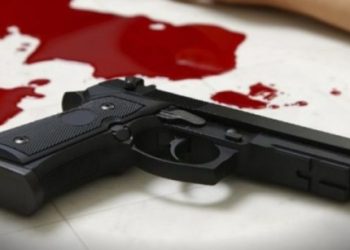 NHIA reviews security following Garu shooting incident