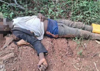 Two timber guards murdered by illegal chainsaw operators at Nsuhia in Bono Region