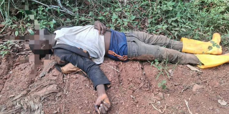 Two timber guards murdered by illegal chainsaw operators at Nsuhia in Bono Region