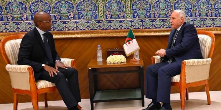 African Development Bank confirmed as Algeria’s key partner for external financing and Trans-Saharan Railway expansion