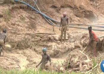 HELP Foundation urges Ghana to target kingpins, financiers, and politicians to dismantle galamsey networks and protect the environment