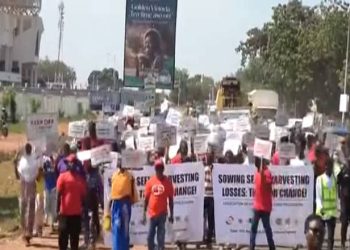 Northern Farmers Protest as Unsold Grains Pile Up in Warehouses.