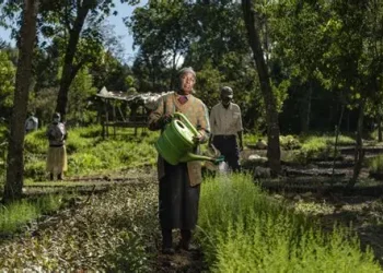 World Vision Ghana, CRS and ICRAF launch EU-funded Re-greening Africa Phase II to restore degraded lands and boost climate resilience