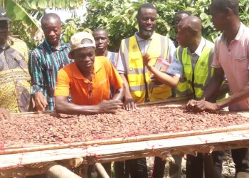 Meet the man proving cocoa can thrive in the northern region