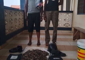 Police arrest two over possession of 2,600 AK-47 ammunition in Ashanti Region