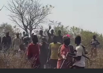 Tension Erupts Between Farmers and Hunters in Kullaa/Gbalahi Over Burnt Cowpea Farms
